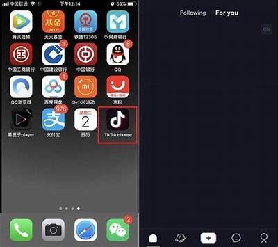 抖音短视频app下载地址与使用指南，快速上手轻松创作