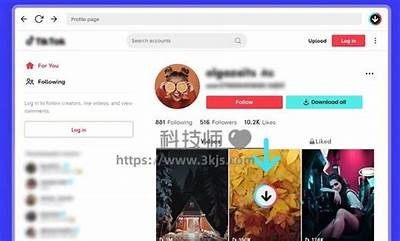 抖音蓝奏云下载密码获取及使用指南