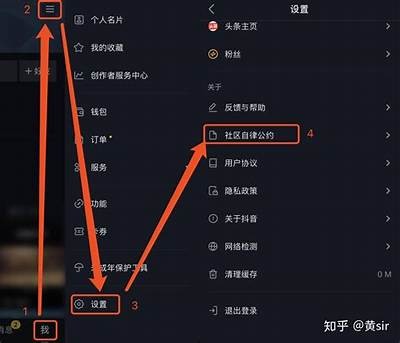抖阴网络内容解决技巧与常见难题解析