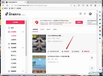 揭秘抖音破解软件：百度云资源下载与使用指南