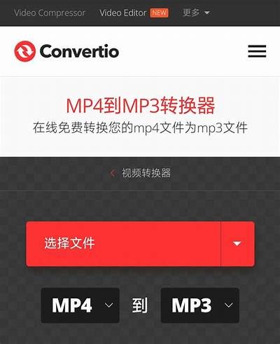 抖音下载文件存储位置详解，轻松找到你的精彩瞬间