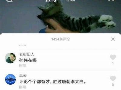 揭秘抖音孙伟背后的成功秘籍与创业故事
