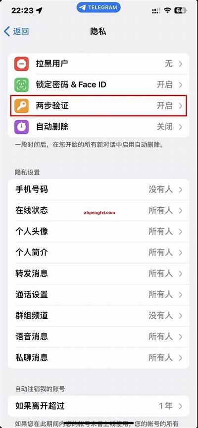 如何在Telegram上安全有效地分享抖音视频？