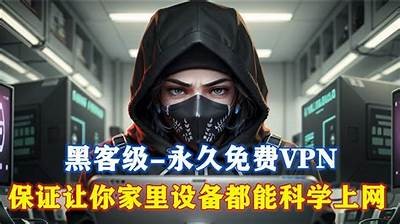 安全高效的抖阴翻墙器，轻松访问海外内容