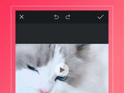 蝌蚪抖阴app免费下载与使用指南，畅享无限乐趣