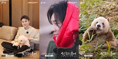 2023年最佳抖音类似实践推荐，畅享短视频乐趣