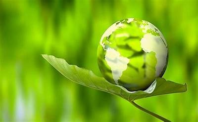 探索抖音短视频网址：提升你的短视频创作技巧与流量引导方法