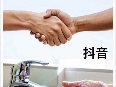 揭秘抖阴pear：深度解析其功能与使用技巧
