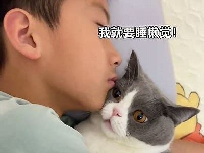 想知道谁拥有快猫和抖阴？答案在这里！