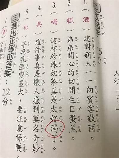 此音非此阴，探秘音韵与阴影的神秘交融