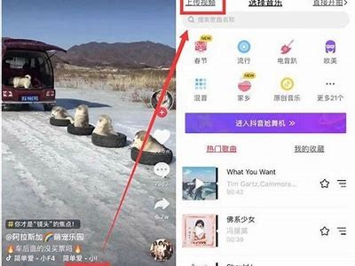 抖音1.5.6版本新功能揭秘，如何提升你的短视频吸引力