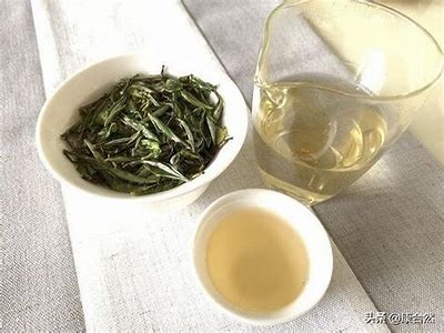 抖阴白茶的功效与饮用方法：让你健康每一天！