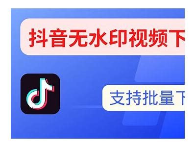 抖音视频下载破解版，轻松获取热门短视频的最佳选择