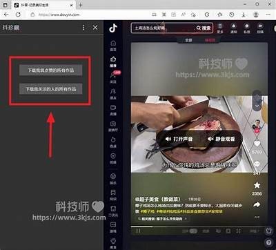 抖音破解版软件下载网站推荐，畅享无广告极速体验！