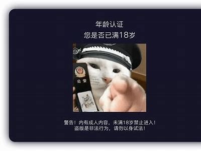 抖阴真粉：揭秘短视频平台背后的真实用户与影响力检视