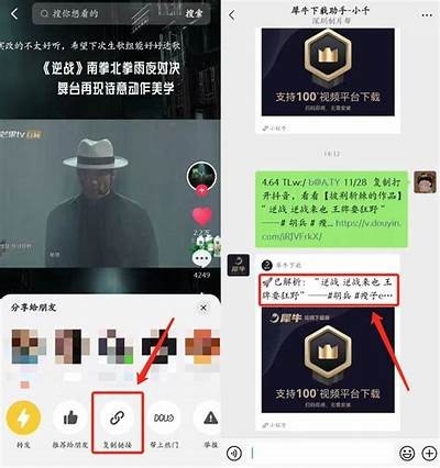 抖音短视频破解下载方法揭秘，轻松获取热门视频资源