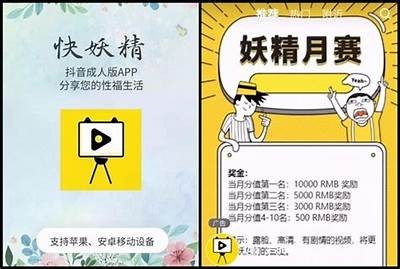 成版人抖阴台湾版下载地址与使用指南