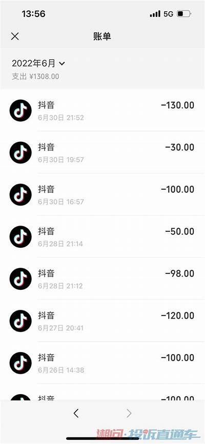 抖阴会员充值后不退款，用户权益如何保障？