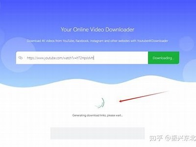 抖音短视频下载工具FTP：快速下载高质量视频技巧分享