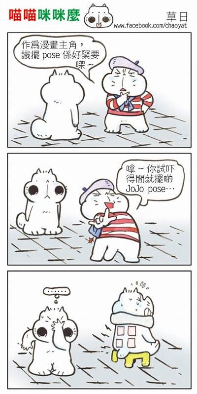喵快胡抖阴：探索可爱猫咪的搞笑互动与趣味视频