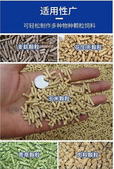 悠然自得：牛羊在草地上吃草的美丽抖阴视频欣赏