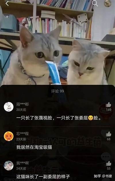 抖阴停止运转对用户影响研究及未来发展方向探讨