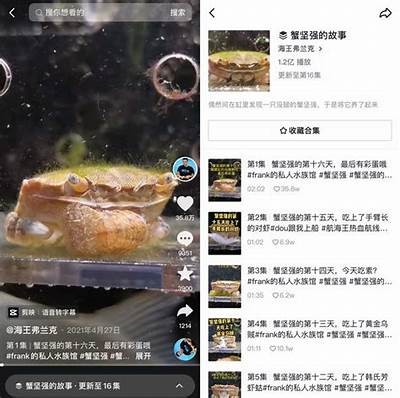 揭秘抖音与优抖音的区别与特点，哪个更适合你？