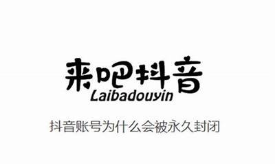 如何获取抖音无限账号，轻松畅享精彩内容分享攻略