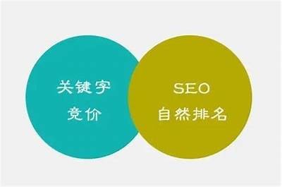 如何提升网站在百度的收录排名技巧与策略分享