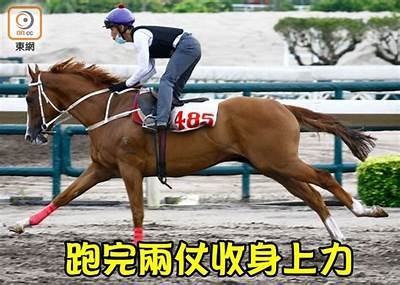 邵博森抖阴事件深度解析：从始至终的真相揭秘