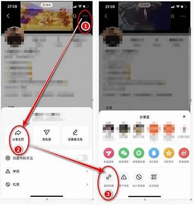 如何下载抖音、快手直播视频？详细步骤教你轻松获取