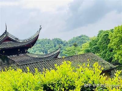 阴字变阳字大揭秘：看我如何轻松转变，精彩视频分享！