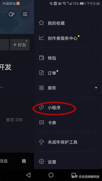 抖音小程序APZP详解：如何快速达成目标流量变现与用户增长